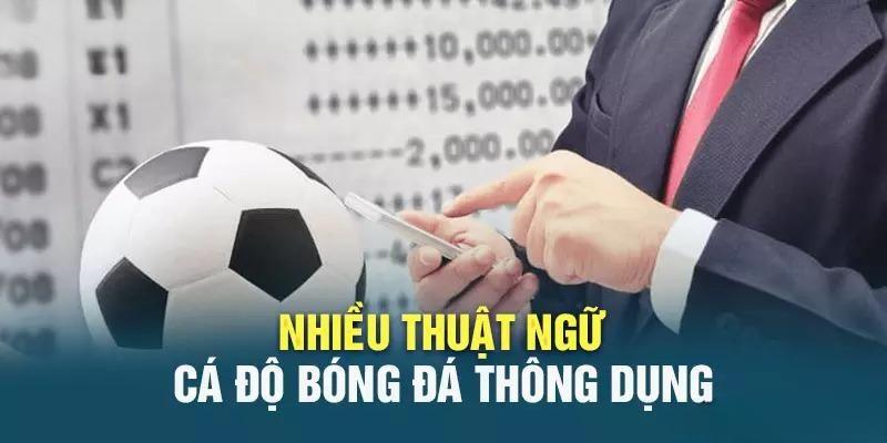 Một số thuật ngữ kèo châu âu